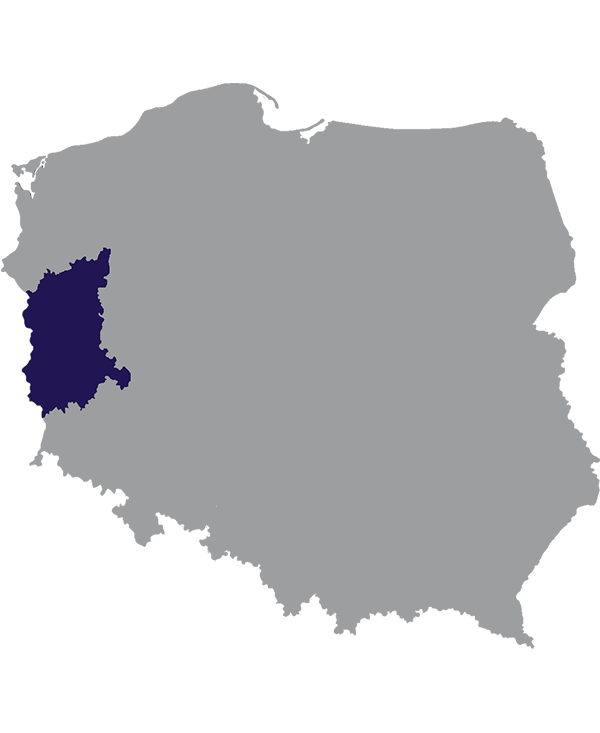 Landkaart Polen grijs met Woiwodschap Lubusz donkerblauw op transparante achtergrond - 600 * 733 pixels